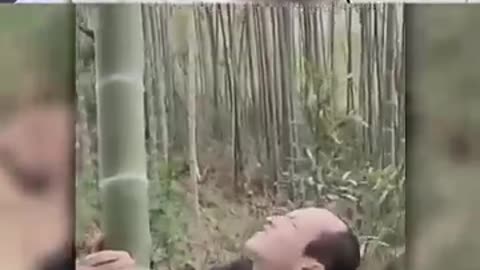 FUNNY VIDEOS || TRY NOT TO LAUGH