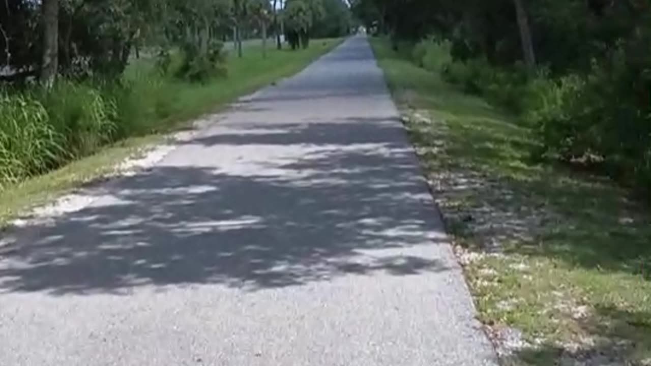 "On The Town with Suz and Doug" Visit the Legacy Trail Culverhouse Nature Park in Sarasota Florida