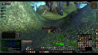 Turtle wow - The new server Ambershire - Paladin POV - Crescent Grove - custom dungeon - 1st run
