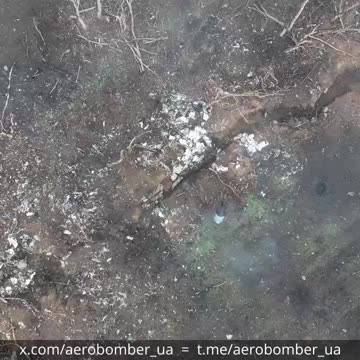 Russian Infantry Desperately Looking for Cover From Ukrainian Bomber Drones