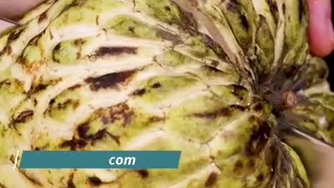 Benefits of Custard Apple in Summer