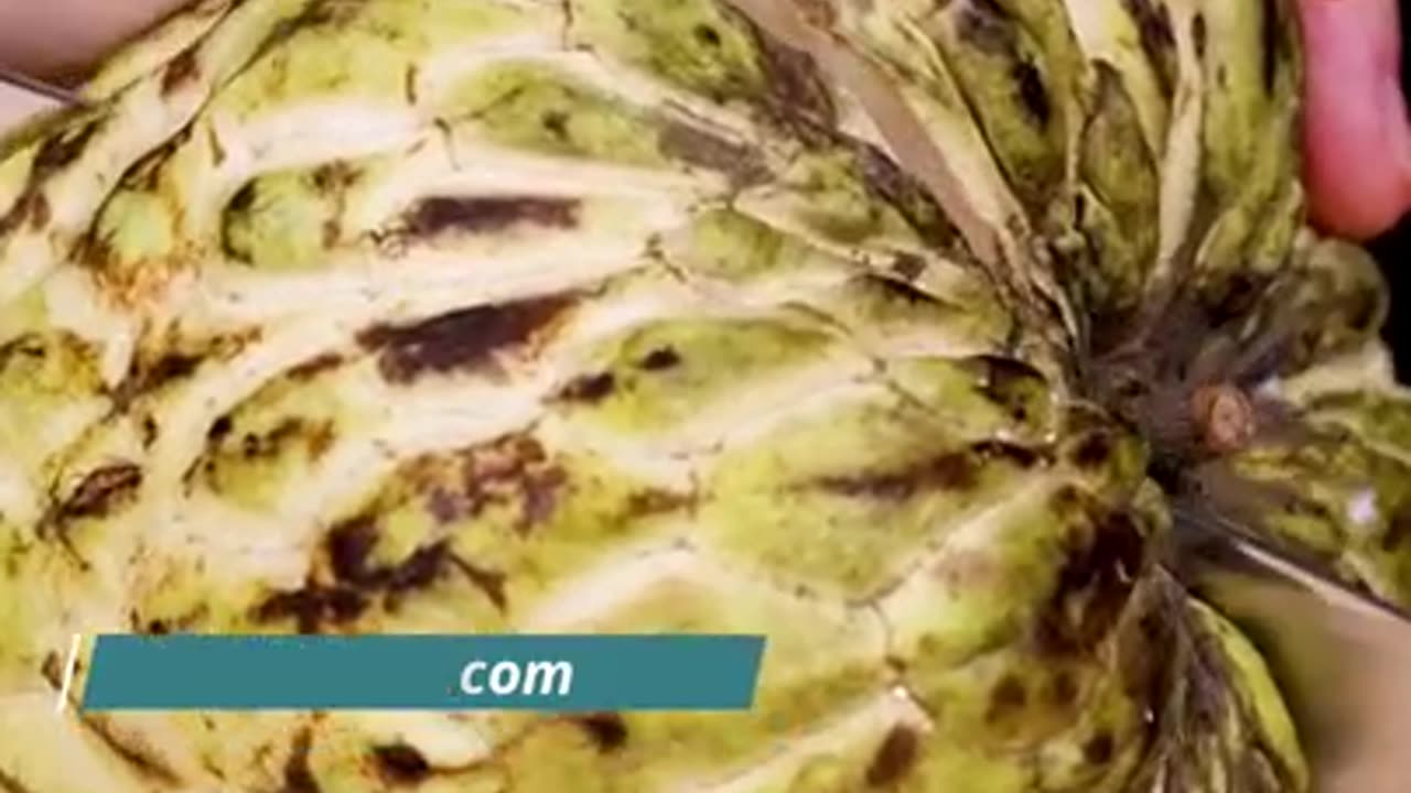 Benefits of Custard Apple in Summer