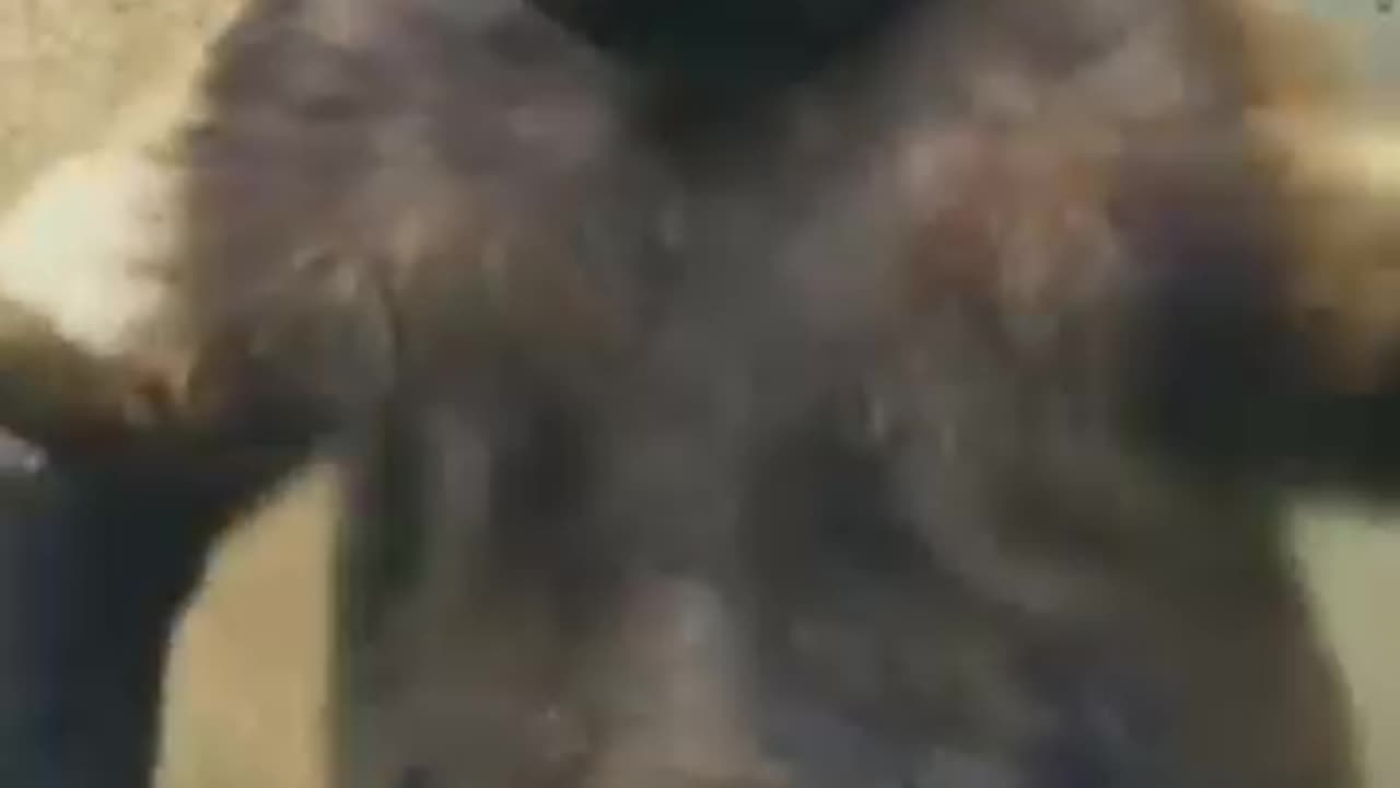 He got great moves 🔥🔥