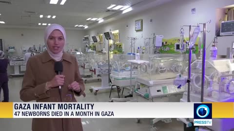Newborn deaths surge in Gaza amid siege and maternal malnutrition