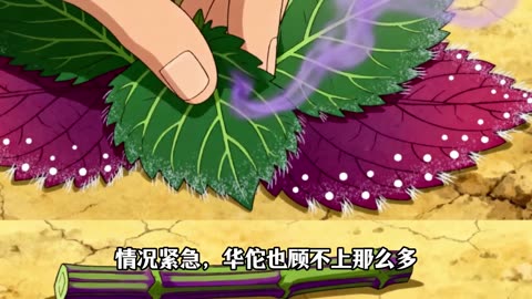 听故事学中药，今天讲讲紫苏叶