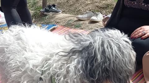 نوروز ۱۴۰۴