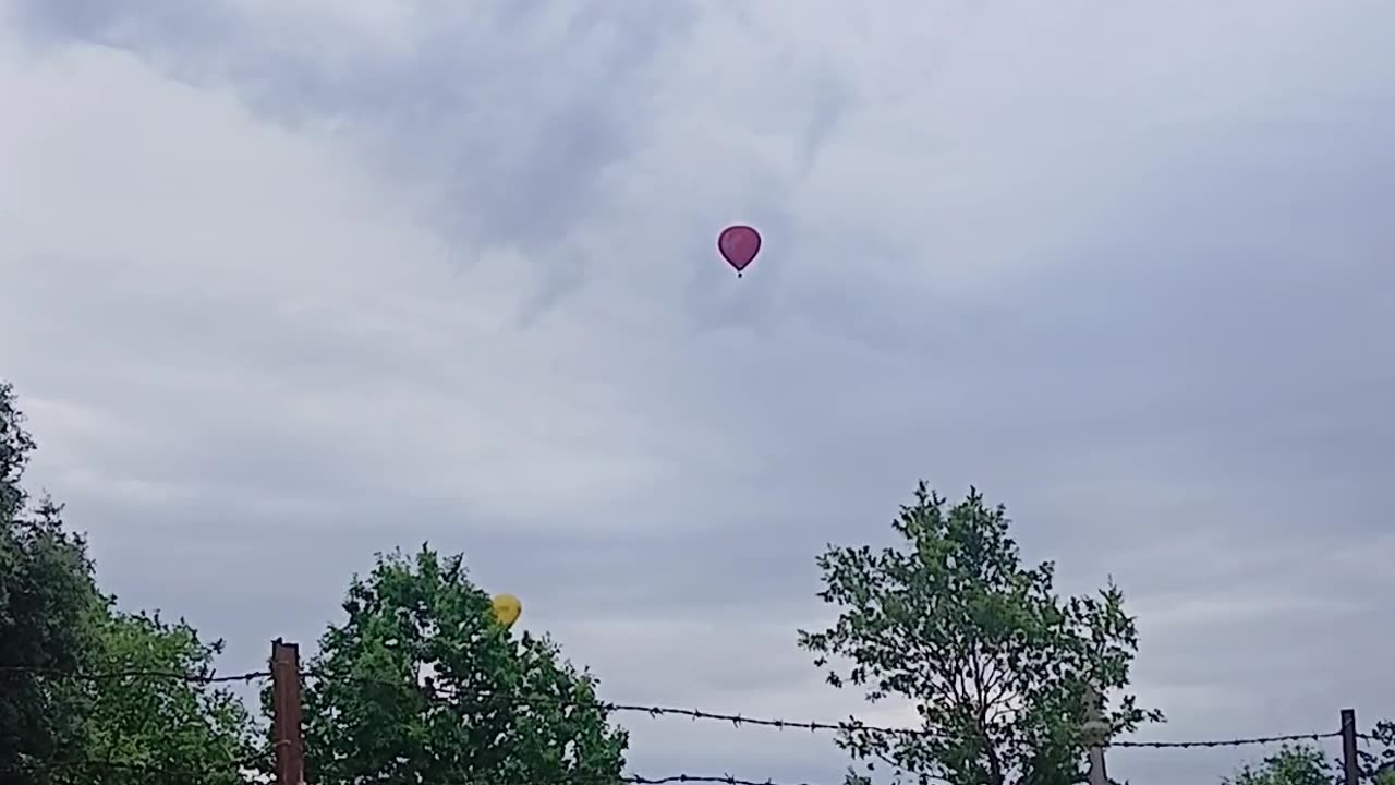 Virgin Mary flew over again.