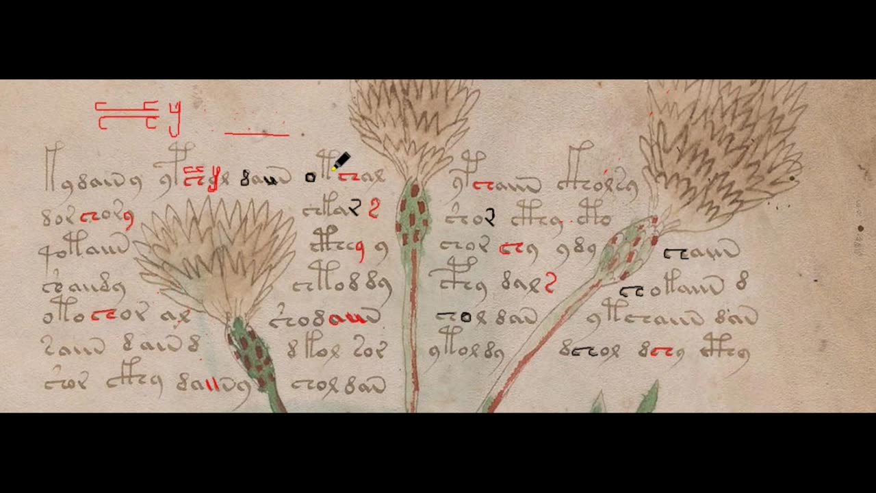 Secrets of the sipher(VOYNICH MANUSCRIPT)