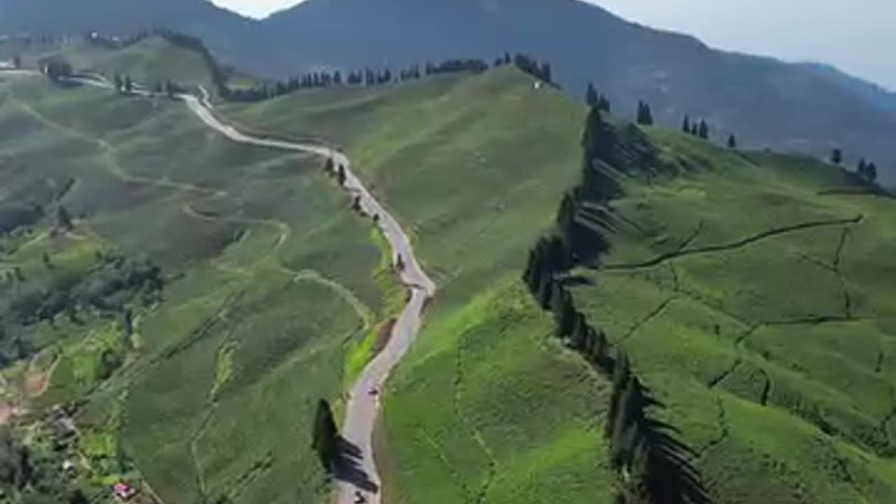 ILLAM Nepal, The tea garden district of Nepal with beautiful natural view