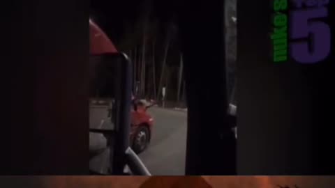 😱🌲 Trucker Captures Mysterious Bigfoot Call! | TheHauntingHour