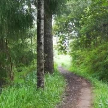 😊 216 EL AMOR ES LA FRECUENCIA MÁS PODEROSA 😊