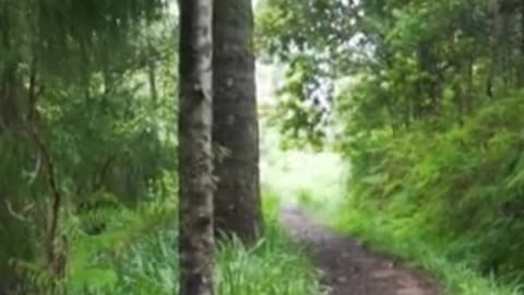 😊 216 EL AMOR ES LA FRECUENCIA MÁS PODEROSA 😊