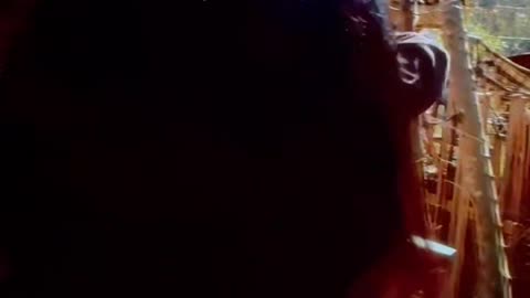 You're It is now streaming on Tubi, Amazon Prime, FawesomeTV, Roku, Apple TV+, Xumo Play, & Stream+