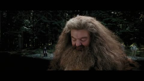 Гарри Поттер - ЛУЗЕР__en