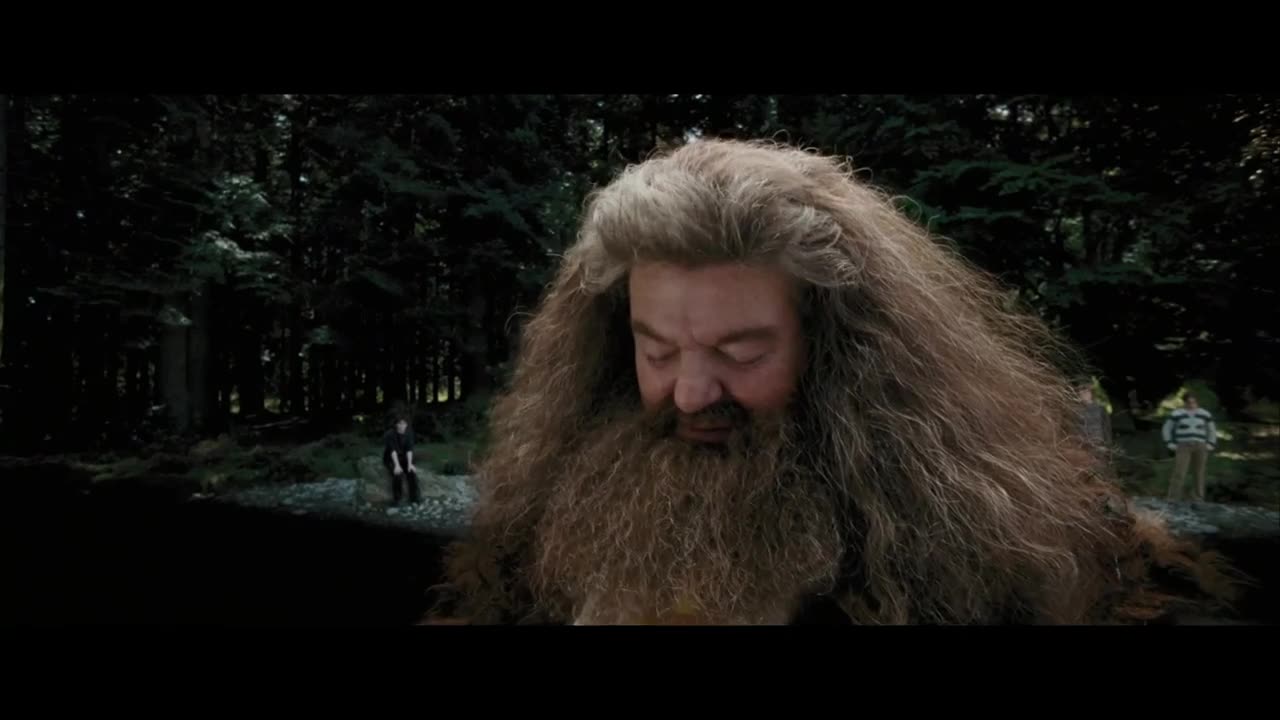 Гарри Поттер - ЛУЗЕР__en