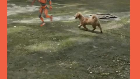 robot afraid of dog 🐶