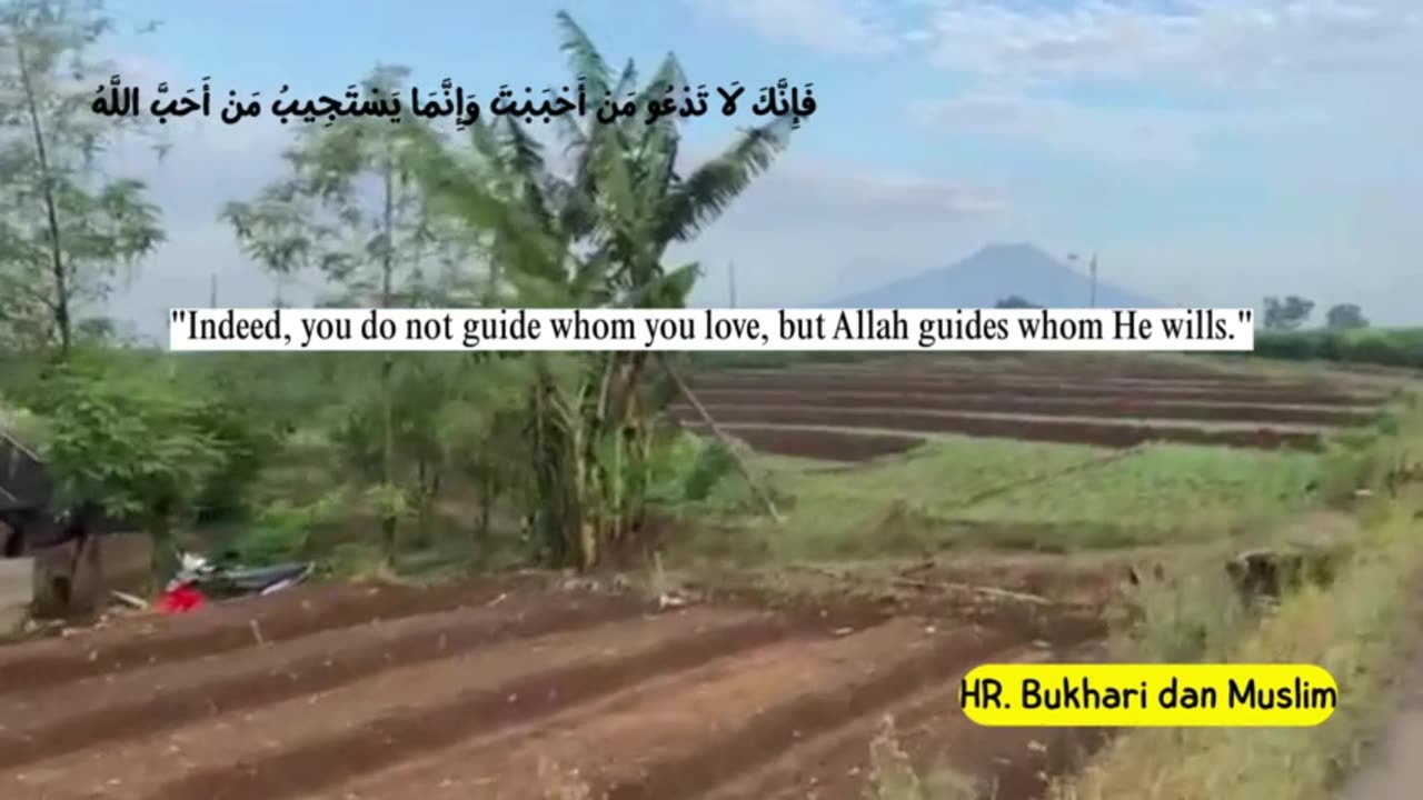 Partly about the Islamic religion 10