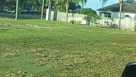 Let No One Take Your Crown in My Beloved Son 11/24/25