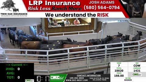 8/4/2025 - Cow & Bull Auction - OKC West