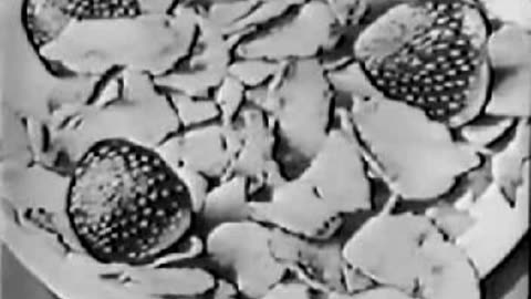 Commercial - Kellogg's Corn Flakes (1965 jingle)