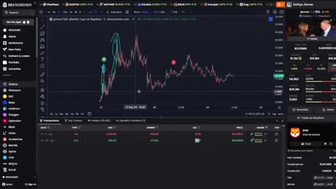 HOW TO MAKE MONEY COPYING MEMECOIN INSIDERS FULL GUIDE_part9