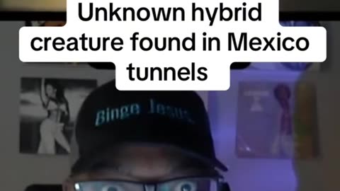 Unknown hybrid creature found in Mexico tunnels