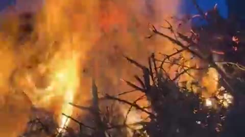 Alberto Bagnai "focaraccio", "focarone" Pizzoferrato 17-01-2026