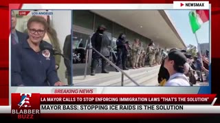 LA Mayor Calls To Stop Enforcing Immigration Laws "That's The Solution"