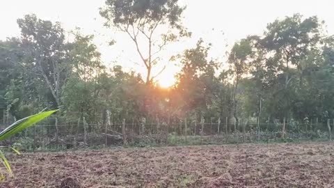 Beautiful Nature Stock Video
