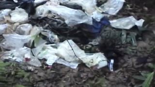 🔥🚤 Colombia Conflict | Special Forces Ambush FARC Guerrillas on River | RCF