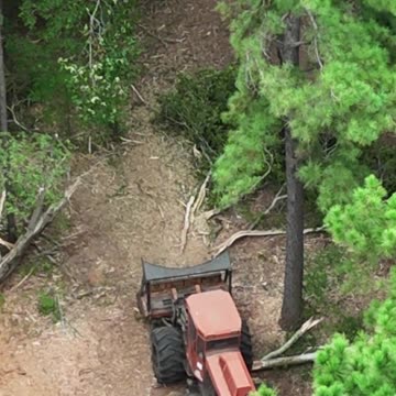Neighbor hired a mulcher