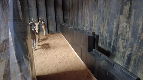 BigShot Pro Range Archery Wall