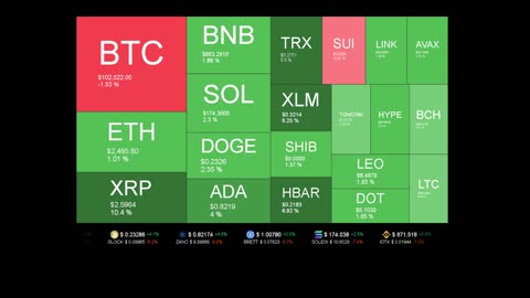 Live Coin Price Watch!