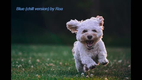 Blue (chill version) by Roa
