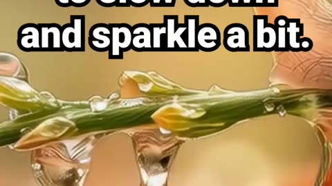 Save this for when you need to slow down and sparkle a bit #motivation #naturesounds