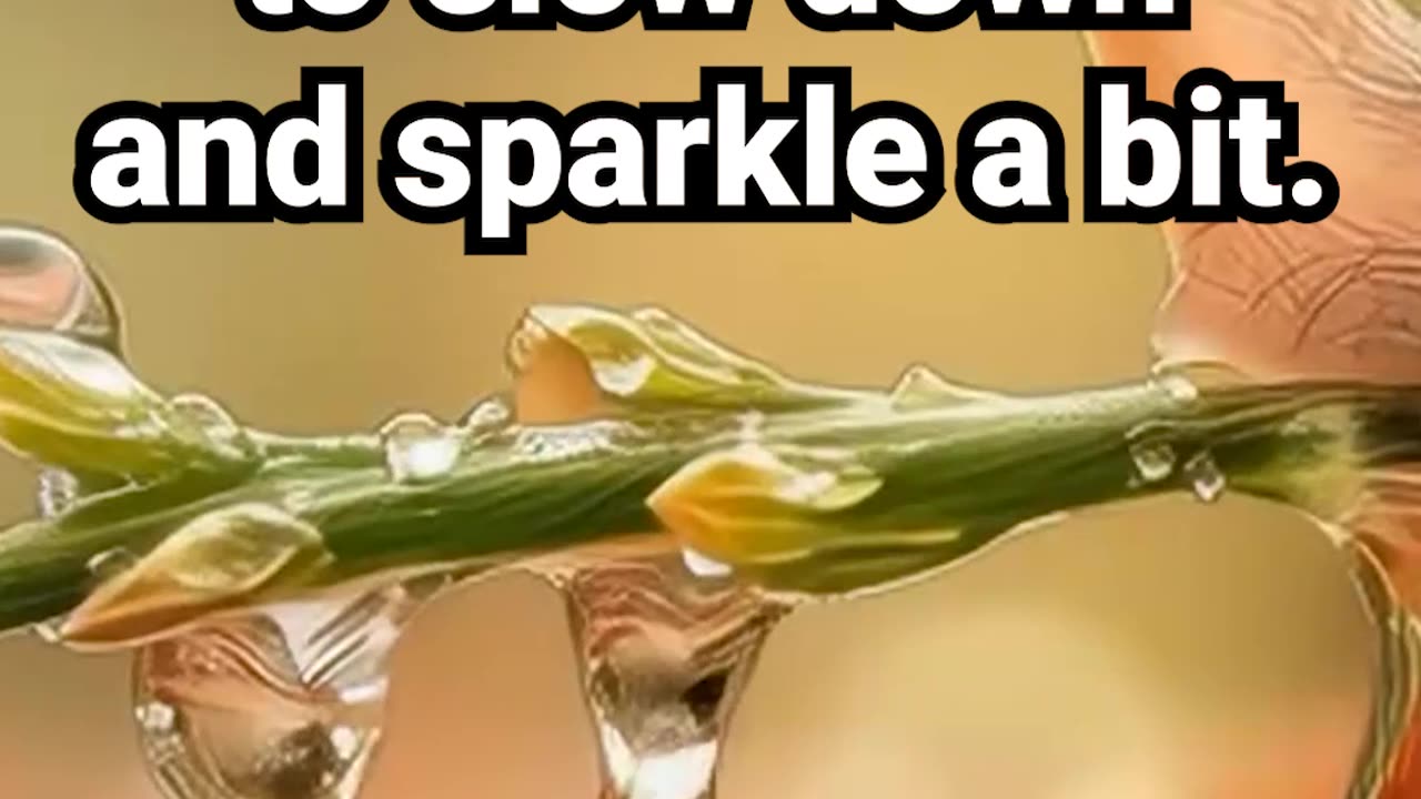 Save this for when you need to slow down and sparkle a bit #motivation #naturesounds