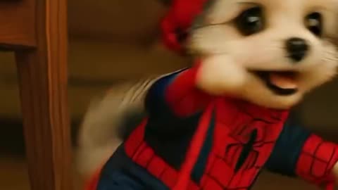 spider puppy
