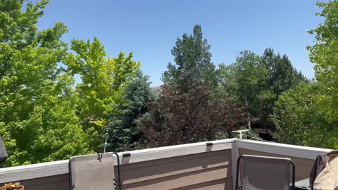 What a nice day