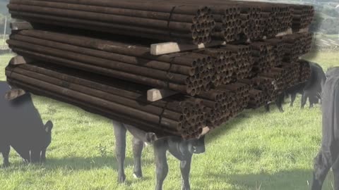 Livestock Fencing