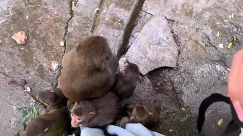 Seeking shelter from the rain 🙏