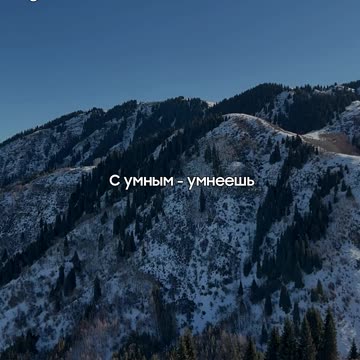 Ты — отражение своего окружения @tompitai ​