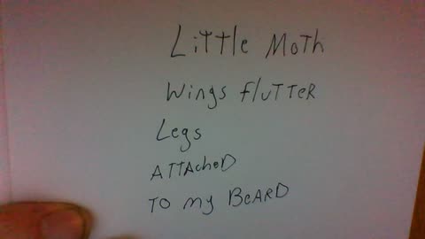 little moth #shorts