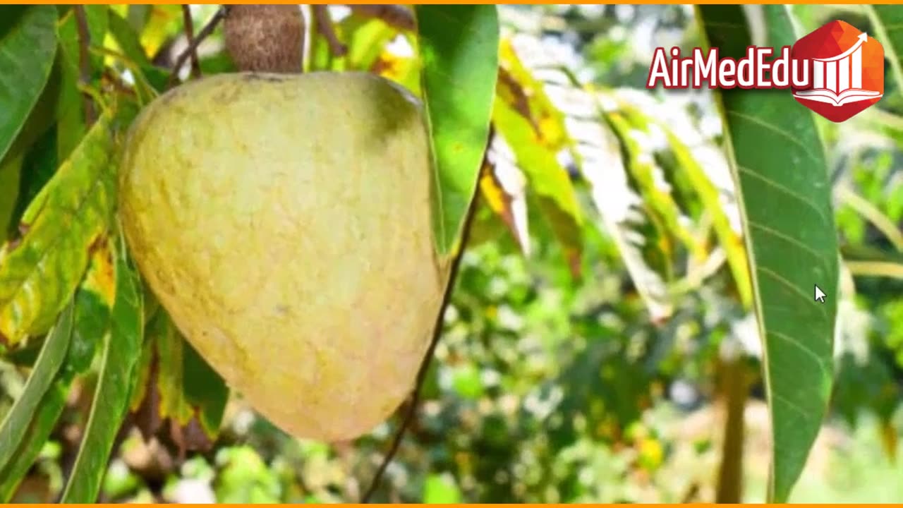 45 Beneficios de las Hojas de Chirimoya