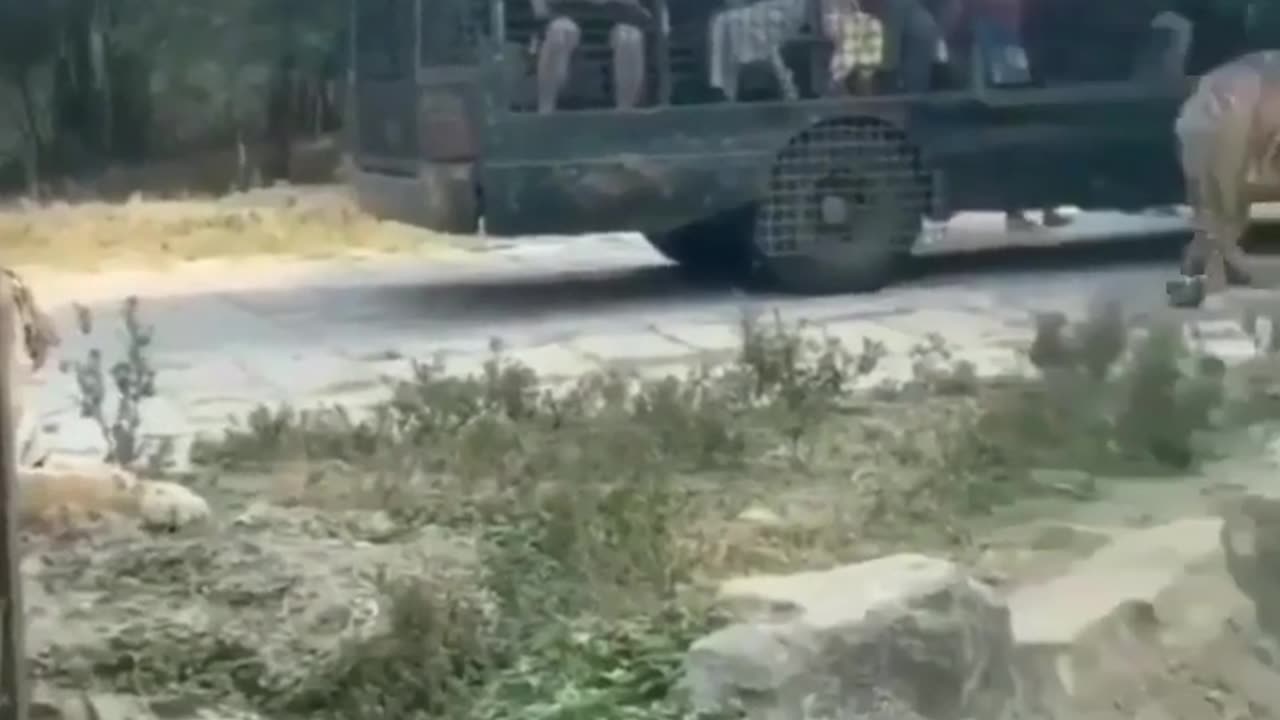 Imagine being on this bus
