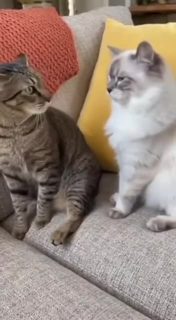 Keep your weird talk to yourself 😂