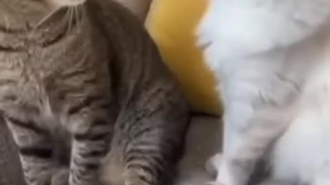 Keep your weird talk to yourself 😂