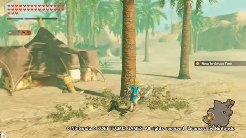 Hyrule Warriors Age Of Calamity Guerreros De Hyrule La Era De Calamidad Through The Desert