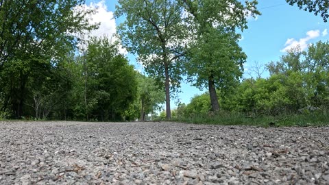 A short walk on a gravel path