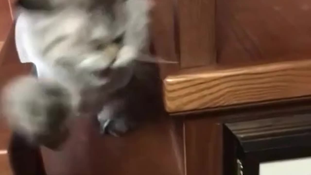 The rage in this video is off the charts)))