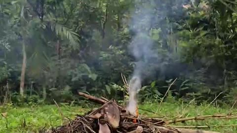 Expat in the Philippines, afternoon at the farm, relax time after a hard day's work.